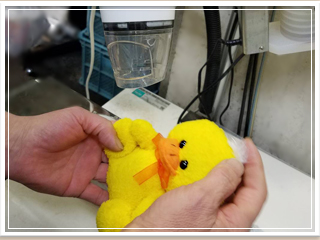 ぬいぐるみクリーニング