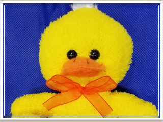 ぬいぐるみクリーニング