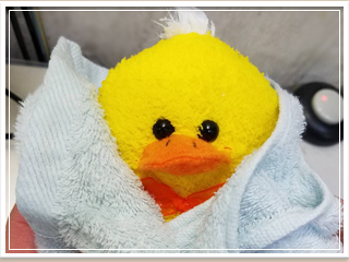 ぬいぐるみクリーニング