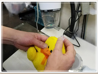 ぬいぐるみクリーニング