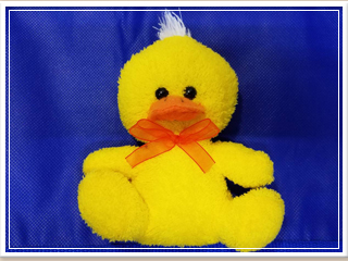 ぬいぐるみクリーニング